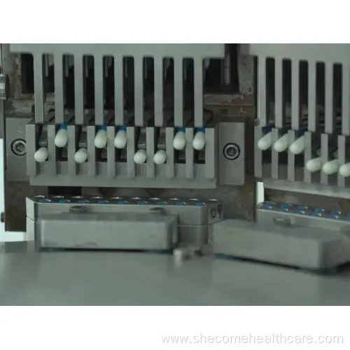 OEM Saw Palmetto Extract Capsule